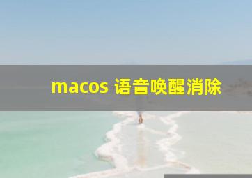 macos 语音唤醒消除